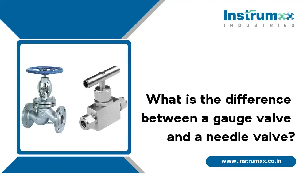 Difference-between-a-gauge-valve-and-a-needle-valve